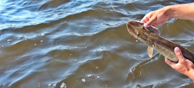 IMG_7060.JPG