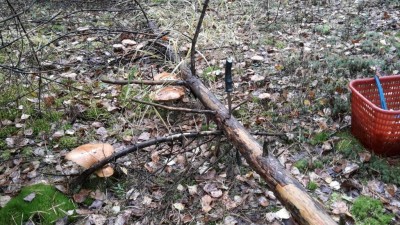 20171001_115145.jpg
