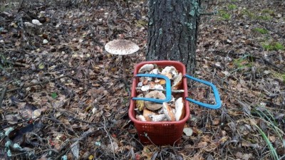 20171001_121747.jpg