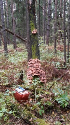 20171001_123050.jpg
