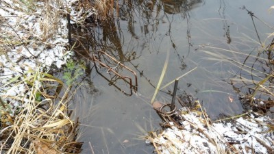 20171111_134744.jpg