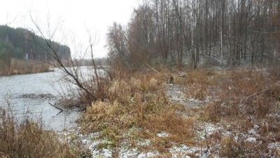 20171111_134751.jpg