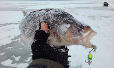 20150320_081047 - 2.jpg