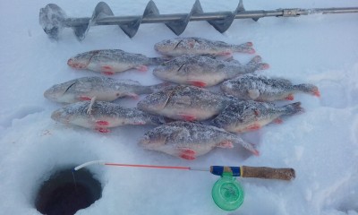 20150327_095732 - 15.jpg