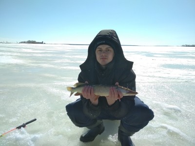 IMG_20180408_120909.jpg