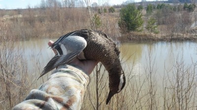 20180429_094541.jpg