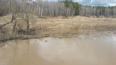 20180429_111758.jpg