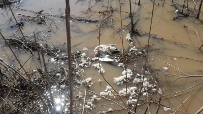 20180429_120030.jpg