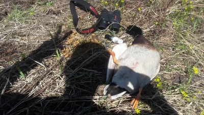20180505_113339.jpg