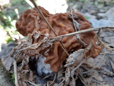 20180512_1080910.jpg