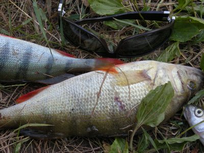 Попался один бонус ~ 500-600 грамм