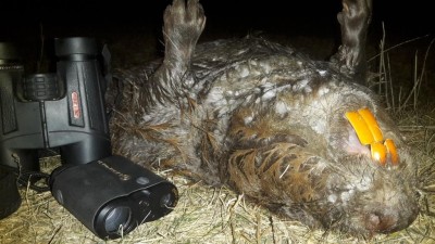 20181110_180117.jpg