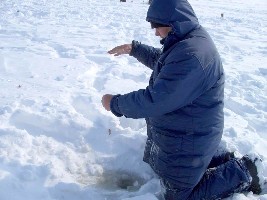 Изображение 086.jpg