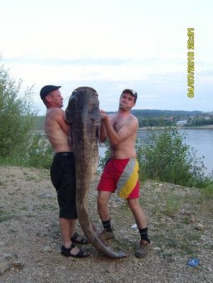 вальяжная дама)))