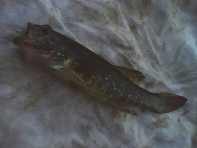 14-07-10_1905.jpg