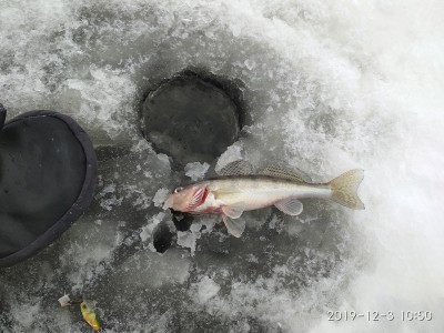IMG_20191203_105008.jpg