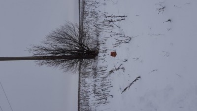20200103_121345.jpg