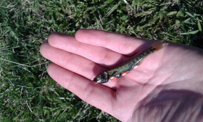 IMG-20160502-WA0005.jpeg