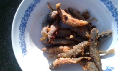 IMG-20160502-WA0022.jpeg