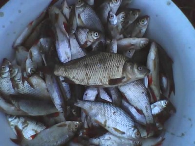 27-08-10_2016.jpg