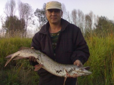01092010313.jpg