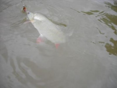 DSCN4244.JPG