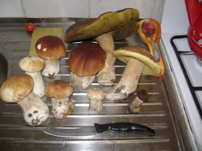 DSC03082-1.JPG