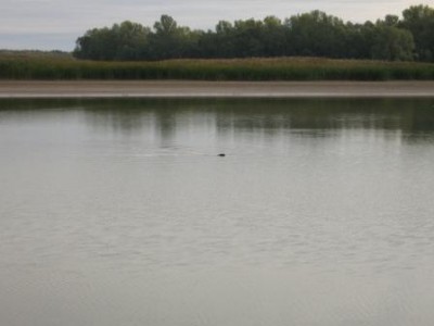 Его река