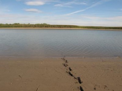 IMG_0067.JPG