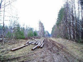 P4260022.JPG