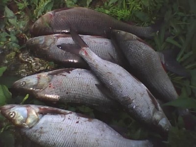 20-09-10_1257.jpg