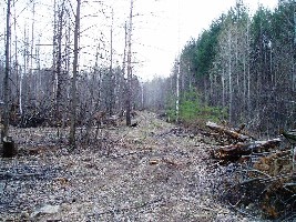 P4260021.JPG