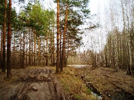 P4260020.JPG
