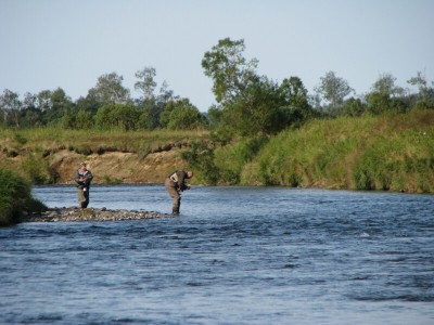 IMG_3713.jpg