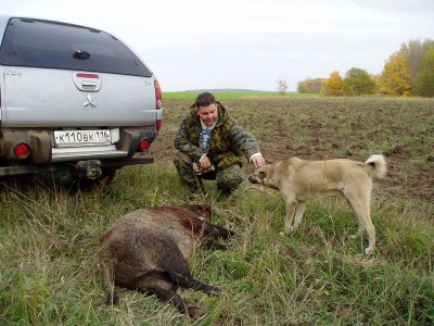 А потом - спирт плескался в канистре,<br />Спал азарт, будто выигран бой:<br />Снес подранку полчерепа выстрел -<br />И рога протрубили отбой.