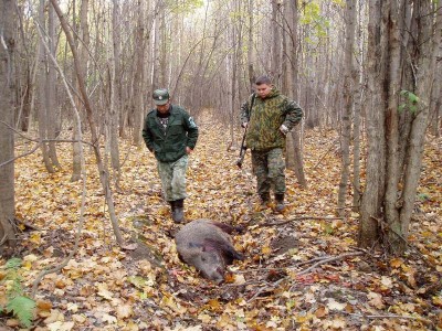Шум, костер и тушенка из банок,<br />И &quot;охотничья&quot; водка - на стол.<br />Только полз присмиревший подранок,<br />Завороженно глядя на ствол.