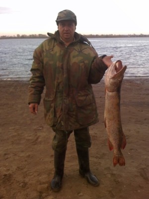 07-10-10_1713 уменш.jpg