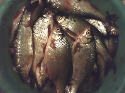 10-10-10_2006.jpg
