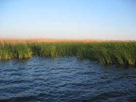 Береговая линия.JPG