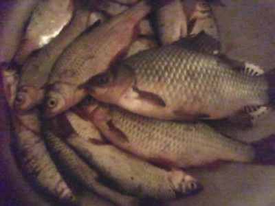 23-10-10_1832.jpg
