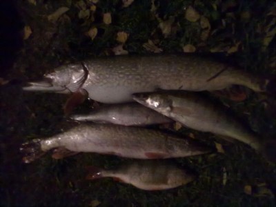 24102010065.jpg