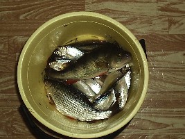 P3180001.JPG