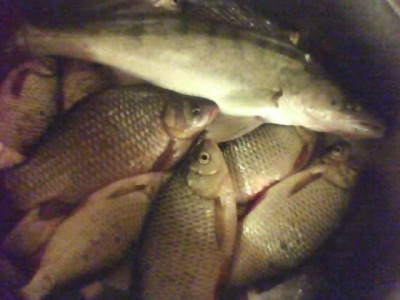 30-10-10_1754.jpg
