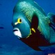WaterWorld_06-555.jpg