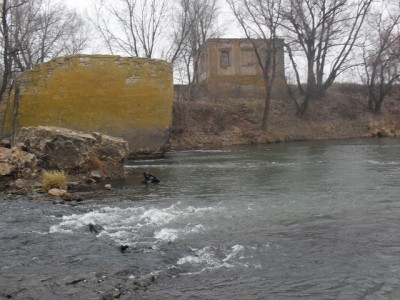 SDC10726.JPG