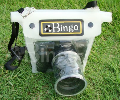 bingo_df_001.JPG