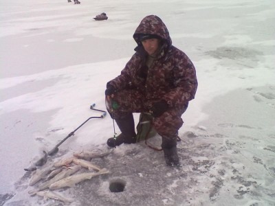 29112010173.jpg