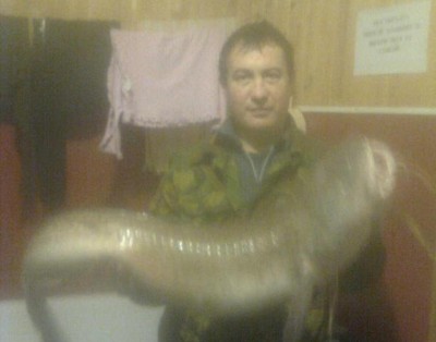 11 кило,сорри за качество