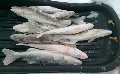 23012011088.jpg