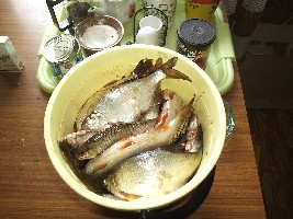 Изображение 042.jpg